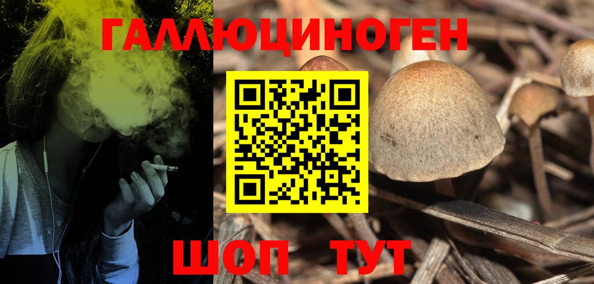 Галлюциногенные грибы MAGIC MUSHROOMS  Псилоцибиновые грибы Psilocybe  Вход с VPN  Нефтекамск 